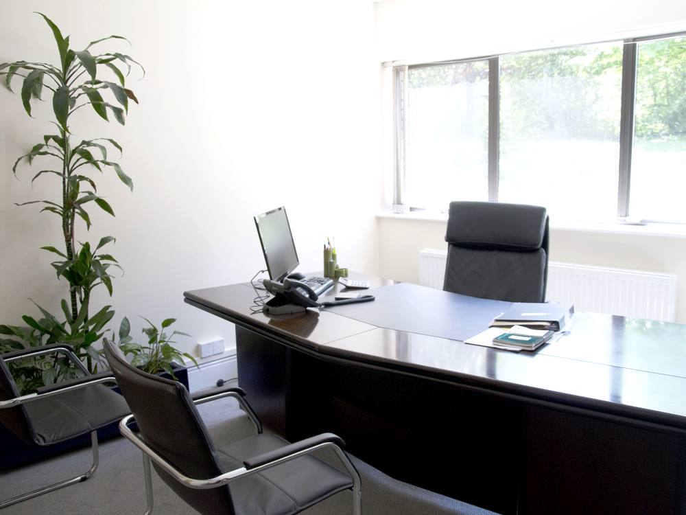 A furnished suite with a desk, chairs and a window looking onto trees